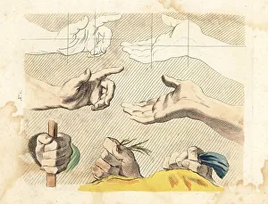 Gestures Prints: Figures of male hands, fingers, gestures