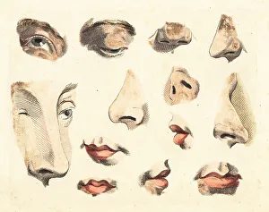 Lips Prints: Figures of noses, eyes, mouths and lips