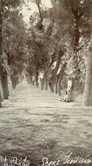 Wooded Collection: Two figures in wooded scene in Tientsin (Tianjin)