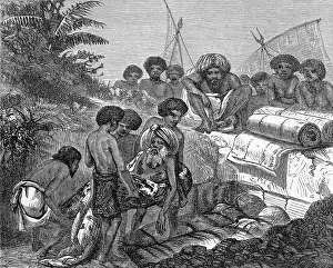 Movements Prints: FIJI LIVE BURIAL