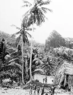 Fiji Prints: Fijian village, Fiji, Victorian period