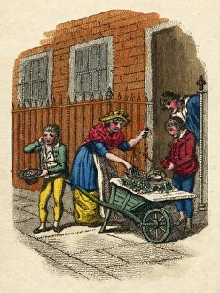 Woman & Wheelbarrow