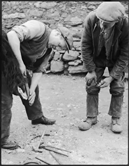 Hoof Prints: Filing Horses Foot