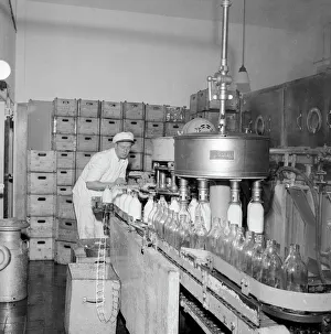 Images Dated 15th April 2010: Dairy
