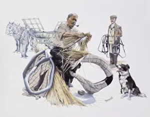 Filling working horse collars