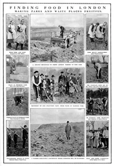 Images Dated 16th October 2017: Finding Food in London: WW1