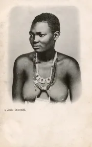 Zulu Prints: Fine portrait of a Zulu Woman, South Africa