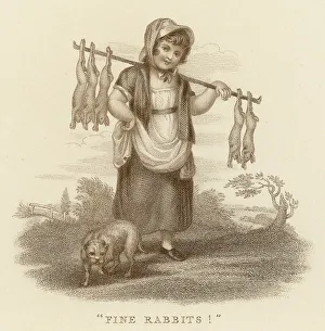 Cries Prints: FINE RABBITS FOR SALE