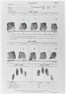 Form Collection: Fingerprint Sheet