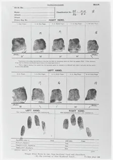 Form Collection: Fingerprint Sheet