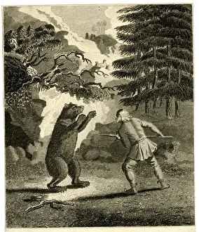 Scandinavia Prints: Finlander and bear