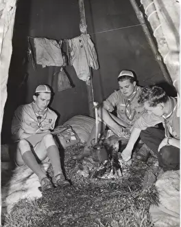 Lapp Prints: Finnish boy scouts at international camp, North London