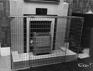 Precaution Prints: Fire safety -- correctly guarded electric fire