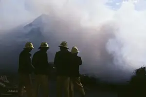 Firefighters in action at a fire in a merchants yard