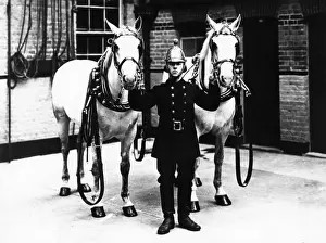 Fireman in brass helmet with two white horses