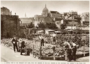 Images Dated 14th May 2021: Firemens Farm in the Heart of the City WWII