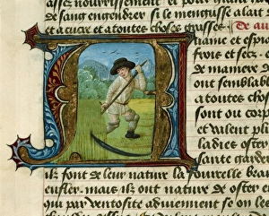 Aldebrando Collection: FIRENZE, Aldebrando da (14th century). Treatise