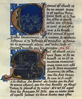 FIRENZE, Aldebrando da. Treaty of Medicine, 1356