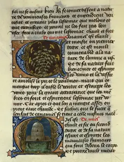 FIRENZE, Aldebrando da. Treaty of Medicine, 1356