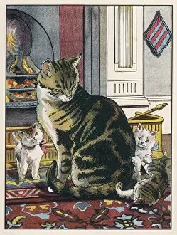 Cats Collection: Fireside Cat & Kittens