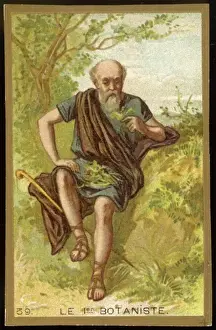 First Botany