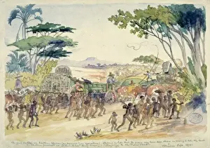John Thomas Baines Prints: The first Cagila in Southern Africa