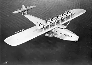 The first Dornier DoX in the air