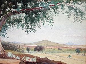 Images Dated 12th January 2007: First Dressing Station, Gallipoli, August 1915