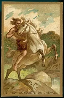 Taming Prints: First Mount