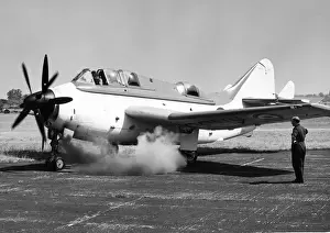 Gannet Prints: The first production Fairey Gannet AS1 WN339