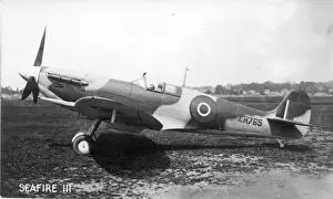 Designated Prints: The first production Supermarine Seafire III LR675
