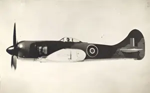 Tempest Prints: First prototype Hawker Tempest II, LA602