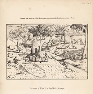 Melville Gallery: First published illustration of a dodo by van Neck, 1601