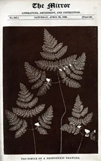 Mirror Collection: First published photograph, William Fox-Talbot