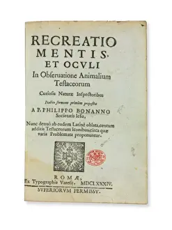 First shell book