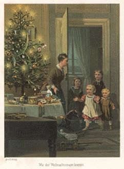 First Sight of Tree