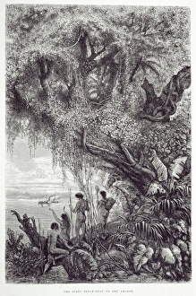 Amazonian Gallery: The first Steam-boat on the Amazon