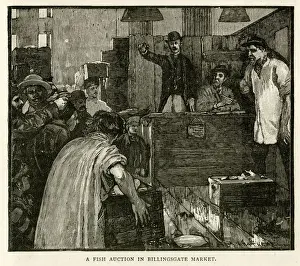 Billingsgate Prints: Fish auction, Billingsgate Market, London