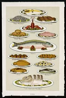 Dishes Gallery: FISH DISHES (1890)