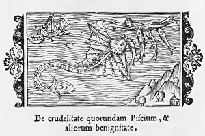 Fish Eating Fish