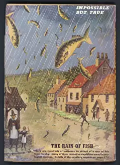 Fish Fall from Sky
