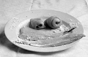 Images Dated 13th September 2012: Fish Fillets
