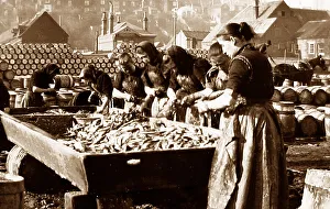 Fish Girls, Lowestof