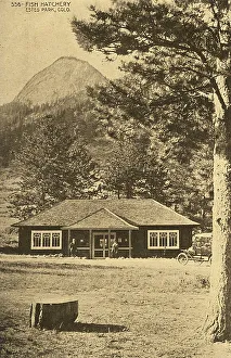 Images Dated 1st February 2018: Fish Hatchery, Estes Park, Colorado, USA