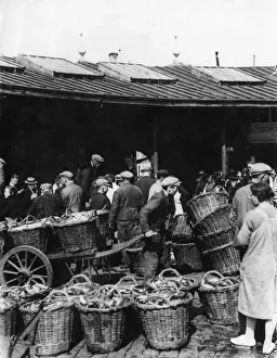 FISH MARKET / FRANCE 1930S