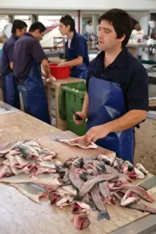 Fish market, Mercado dos Lavradores, Funchal, Madeira