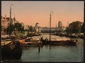 Rotterdam Prints: Fish market, Rotterdam, Holland
