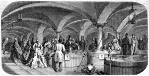 FISH MARKET / VIENNA