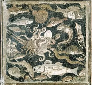 Images Dated 4th August 2015: Fish Mosaic from Pompeii