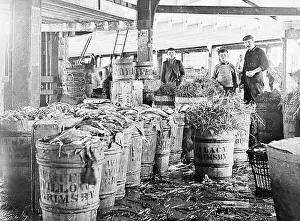 Fish packing shed, Grimsby, Victorian period
